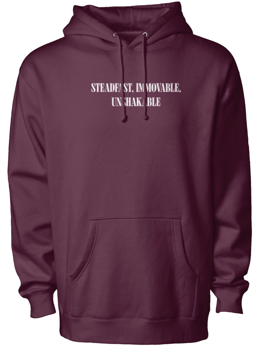 Walking With Jesus Hoodie