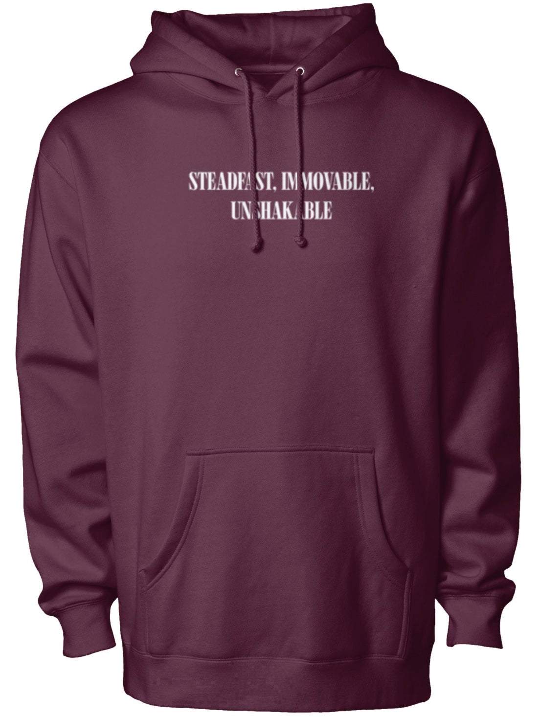 Walking With Jesus Hoodie